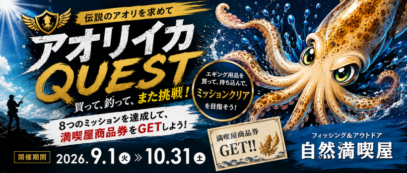 アオリイカクエスト