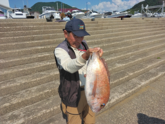 真鯛 ブリの釣果写真