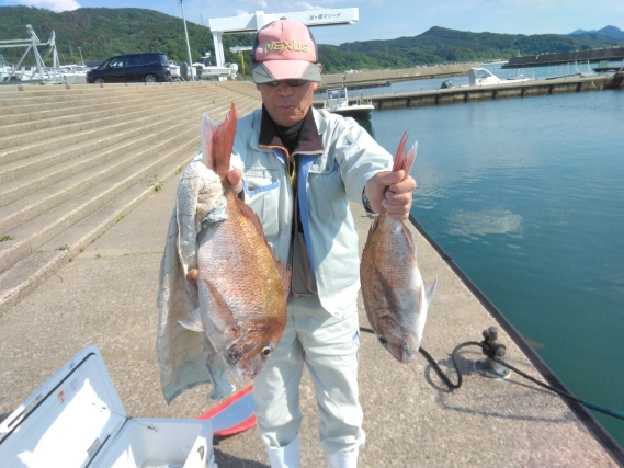 真鯛 ブリの釣果写真