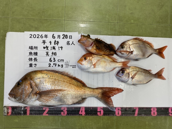 真鯛等の釣果写真