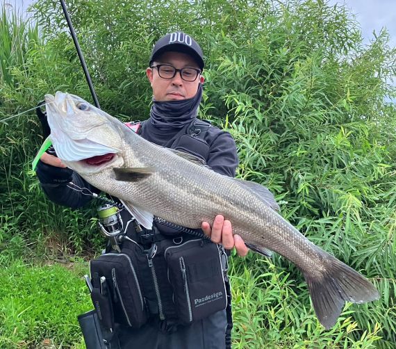 シーバスの釣果写真
