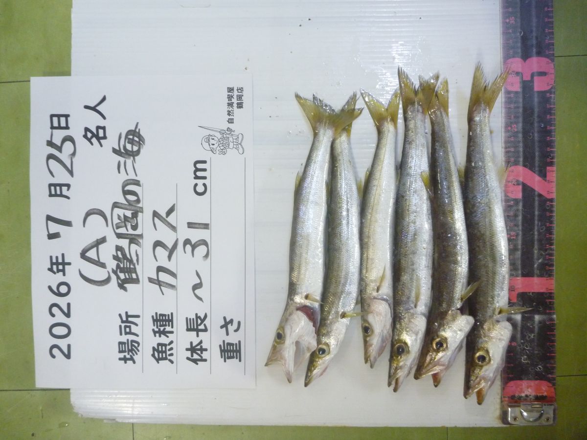 カマス
