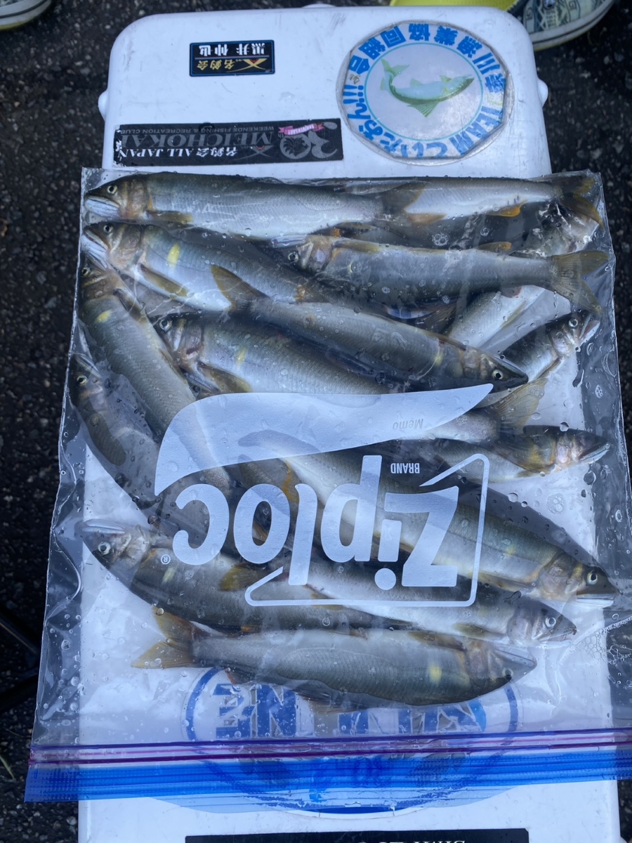 鮎
