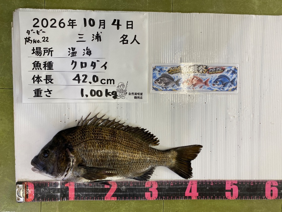 自然満喫屋｜2026年10月 釣果情報