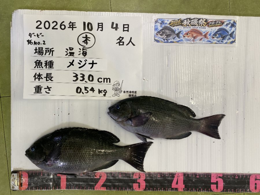 自然満喫屋｜2026年10月 釣果情報